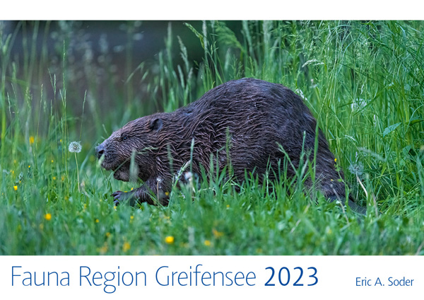 Kalender Fauna Region Greifensee 2023